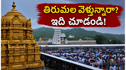 తిరుమలలో భక్తుల రద్దీ మామూలుగా లేదు.. దర్శనం కోసం వెళ్లే ముందు ఈ విషయాలు తెలుసుకోండి!