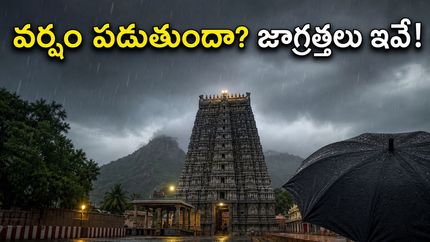 తిరువన్నామలై వెళ్తున్నారా? భారీ వర్షాల హెచ్చరిక.. అరుణాచలేశ్వరుడి దర్శనానికి వెళ్లే భక్తులు ఈ జాగ్రత్తలు తప్పనిసరి!