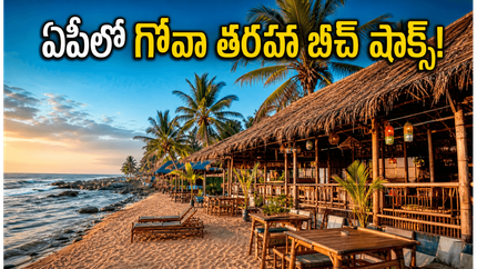 ఏపీ బీచ్‌లలో ఇక గోవా తరహా సందడి.. విశాఖ, సూర్యలంకలో 'బీచ్ షాక్స్' ప్రారంభం, పూర్తి వివరాలు ఇవే!