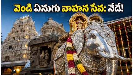 చిదంబరం వెండి ఏనుగు వాహన సేవ: నేడు పతాక స్థాయికి ఉత్సవాలు.. రద్దీలో ఇబ్బంది పడకుండా ఉండాలంటే ఈ టిప్స్ పాటించండి!