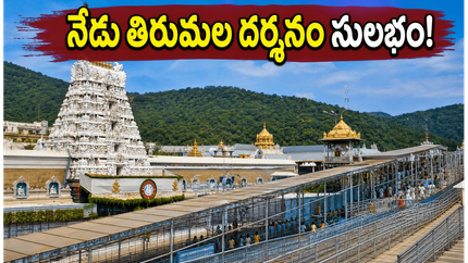 తిరుమల భక్తులకు గుడ్ న్యూస్.. నేడు రద్దీ తగ్గింది, త్వరగా దర్శనం కావాలంటే ఇలా చేయండి!