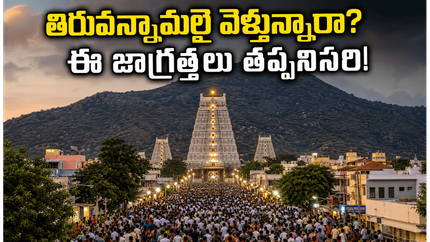 తిరువన్నామలై గిరిప్రదక్షిణకు వెళ్తున్నారా? రద్దీ, రూమ్స్, భద్రతపై లేటెస్ట్ అప్‌డేట్స్ ఇవే!