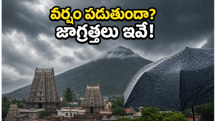 తిరువణ్ణామలై వెళ్తున్నారా? వర్షం హెచ్చరికతో గిరిప్రదక్షిణ, దర్శనం కోసం ఈ జాగ్రత్తలు తప్పనిసరి!