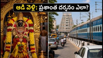 ఆడి వెల్లి: తమిళనాడు ఆలయాలకు వెళ్తున్నారా? రద్దీని తప్పించుకుని ప్రశాంతంగా దర్శనం చేసుకోవాలంటే ఈ టిప్స్ పాటించండి!