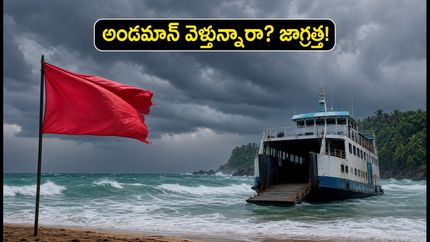 అండమాన్ వెళ్తున్నారా? భారీ వర్షాలు, ఫెర్రీల రద్దు.. పర్యాటకులు ఈ జాగ్రత్తలు తప్పనిసరి!