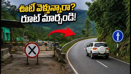 బెంగళూరు నుంచి ఊటీ ట్రిప్ ప్లాన్ చేస్తున్నారా? కల్హట్టి ఘాట్ రోడ్డుపై ఆంక్షలు.. ప్రత్యామ్నాయ మార్గాలు ఇవే!