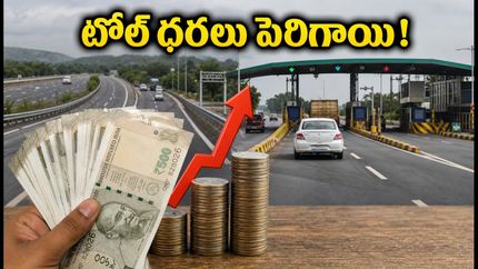 బెంగళూరు-మైసూర్ ఎక్స్‌ప్రెస్‌వేపై టోల్ ధరల పెంపు.. మీ జేబుకు చిల్లు పడకుండా ఇలా ప్లాన్ చేసుకోండి!