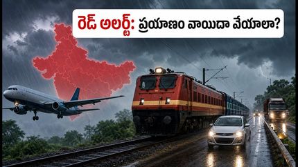 రెడ్ అలర్ట్: గుజరాత్, మహారాష్ట్ర వెళ్తున్నారా? మీ ప్రయాణం సురక్షితంగా సాగాలంటే ఈ జాగ్రత్తలు తప్పనిసరి!