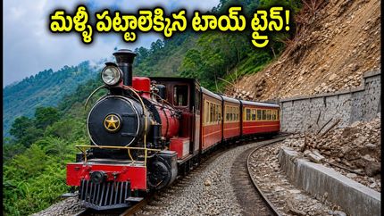 కల్కా-సిమ్లా టాయ్ ట్రైన్ మళ్ళీ పట్టాలెక్కింది! పర్యాటకులకు గుడ్ న్యూస్, బుకింగ్ టిప్స్ ఇవే!