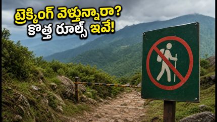బెంగళూరు ట్రెక్కింగ్ ప్లాన్ చేస్తున్నారా? కొత్త రూల్స్ తెలియకపోతే మీ డబ్బులు, ప్లాన్ రెండూ గల్లంతే!