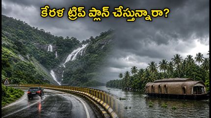 కేరళ ట్రిప్ ప్లాన్ చేస్తున్నారా? ఉత్తర కేరళలో భారీ వర్షాలు, ఎల్లో అలర్ట్.. పర్యాటకులు ఈ జాగ్రత్తలు తప్పనిసరి!