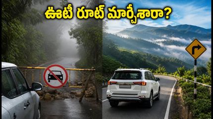 బెంగళూరు నుంచి ఊటీ వెళ్తున్నారా? కల్హట్టి ఘాట్ రోడ్డుపై ఆంక్షలు.. పర్యాటకులు ఈ రూట్ మార్చుకోవాల్సిందే!