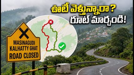 ఊటీ వెళ్లే పర్యాటకులకు అలర్ట్! మసినగుడి-కల్హట్టి ఘాట్ రోడ్డుపై ఆంక్షలు.. ప్రత్యామ్నాయ మార్గాలు ఇవే!