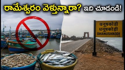 రామేశ్వరం వెళ్తున్నారా? మత్స్యకారుల సమ్మెతో పర్యాటకుల ప్లాన్ మారుతుందా? పూర్తి వివరాలు ఇవే!