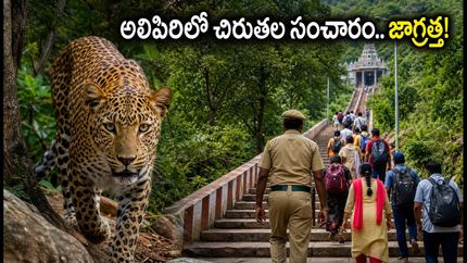 తిరుమల అలిపిరి నడకదారిలో చిరుతల సంచారం.. భక్తులు వెళ్లే ముందు ఈ జాగ్రత్తలు తప్పనిసరి!