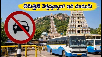 ఆడి కృత్తిక: తిరుత్తణి మురుగన్ ఆలయానికి వెళ్తున్నారా? ఆటోలపై నిషేధం.. ట్రాఫిక్ రూల్స్ ఇవే!