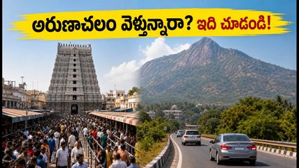 ఆగస్టు 15-16 లాంగ్ వీకెండ్‌లో అరుణాచలం వెళ్తున్నారా? రద్దీ, దర్శనం టైమింగ్స్, పార్కింగ్ ప్లాన్ ఇదే!