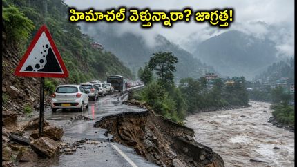 హిమాచల్ ప్రయాణం చేస్తున్నారా? వర్షాల వల్ల శిమ్లా-మనాలీ రూట్లలో భారీ అంతరాయం.. మీరు తెలుసుకోవాల్సిన ముఖ్యమైన విషయాలు ఇవే!
