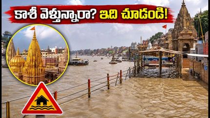 కాశీ విశ్వనాథుడి దర్శనానికి వెళ్తున్నారా? రద్దీ దృష్ట్యా ఆలయ అధికారులు తీసుకున్న కీలక నిర్ణయాలు, దర్శన సమయాలు ఇవే!