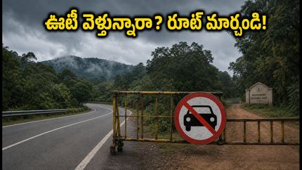 ఊటీ ట్రిప్ ప్లాన్ చేస్తున్నారా? కల్హట్టి ఘాట్ రోడ్డు క్లోజ్.. ఈ రూట్లలో వెళ్తేనే సేఫ్!