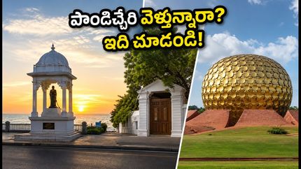 ఆగస్టు 15న పాండిచ్చేరి, ఆరోవిల్ ట్రిప్ ప్లాన్ చేస్తున్నారా? ప్రయాణానికి ముందు ఈ విషయాలు తప్పక తెలుసుకోండి!