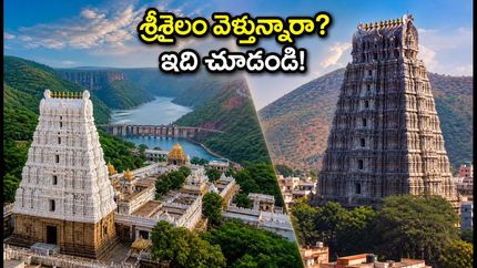 ఆగస్టు లాంగ్ వీకెండ్: శ్రీశైలం, అరుణాచలం వెళ్తున్నారా? ఈ ట్రావెల్ టిప్స్ మిస్ అవ్వకండి!