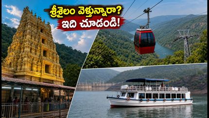 శ్రీశైలం వెళ్తున్నారా? భారీ రద్దీ, డ్యామ్ అప్‌డేట్స్.. ఇబ్బందులు లేకుండా దర్శనం చేసుకోవాలంటే ఈ ప్లాన్ ఫాలో అవ్వండి!