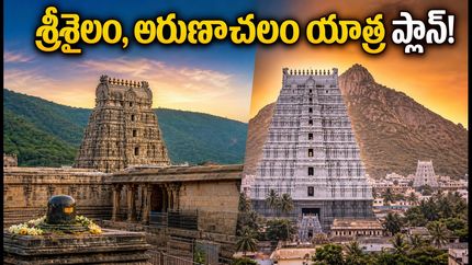 ఆగస్టు 17 శ్రావణ సోమవారం: శ్రీశైలం, అరుణాచలం వెళ్తున్నారా? రద్దీ, దర్శనం, ప్రయాణ టిప్స్ ఇవే!
