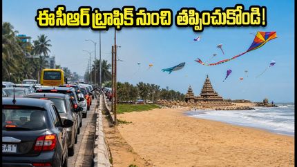 తమిళనాడు ఇంటర్నేషనల్ కైట్ ఫెస్టివల్: ఈసీఆర్ ట్రాఫిక్ ఇబ్బందులు లేకుండా వెళ్లాలంటే ఈ టిప్స్ పాటించండి!