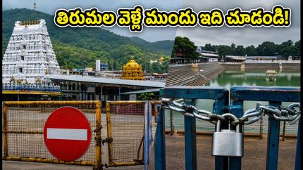 తిరుమల గరుడ పంచమి అలర్ట్.. దర్శనం, క్యూలైన్లు, ట్రాఫిక్ ఆంక్షలపై లేటెస్ట్ అప్‌డేట్స్ ఇవే!
