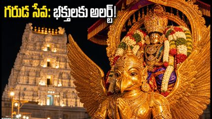తిరుమల గరుడ వాహన సేవ: భక్తులకు అలర్ట్.. గ్యాలరీల్లోకి వెళ్లే ముందు ఈ విషయాలు తప్పక తెలుసుకోండి!
