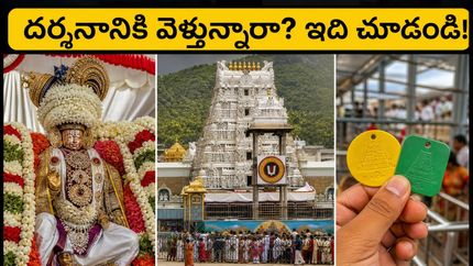 తిరుమల పవిత్రోత్సవాలు: శ్రీవారి దర్శనానికి వెళ్లే భక్తులకు అలర్ట్.. ఈ టిప్స్ పాటిస్తే దర్శనం సులభం!