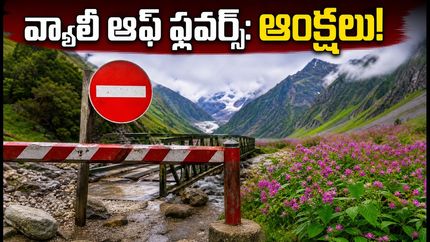 వ్యాలీ ఆఫ్ ఫ్లవర్స్ ట్రిప్ ప్లాన్ చేస్తున్నారా? భారీ వర్షాలతో ఆంక్షలు.. పర్యాటకులు ఏం చేయాలి?