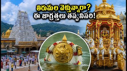 తిరుమల బ్రహ్మోత్సవాల రద్దీ: సెప్టెంబర్ 22, 23న వెళ్తున్నారా? ఈ జాగ్రత్తలు తప్పనిసరి!