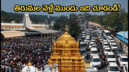 తిరుమల వెళ్లే భక్తులకు అలర్ట్.. బ్రహ్మోత్సవాల వేళ దర్శనం, ట్రాఫిక్ ఆంక్షలపై లేటెస్ట్ అప్‌డేట్!