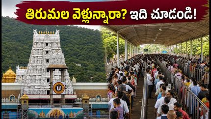 తిరుమలలో భారీ రద్దీ: సెప్టెంబర్ 13న విఐపి దర్శనాలు రద్దు.. భక్తులు ఈ జాగ్రత్తలు తప్పనిసరి!