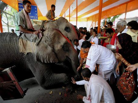 Assam Assam