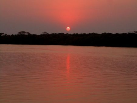 Bhitarkanika National Park 