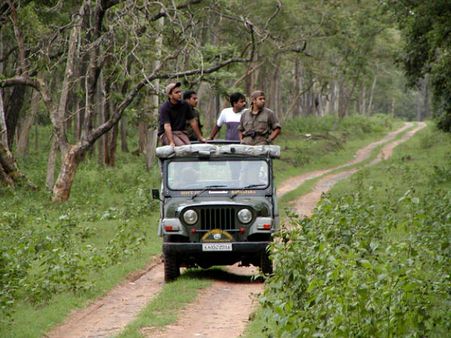 An Adventure Trip to Masinagudi 