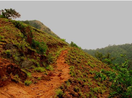 A Trek to Kodachadri 