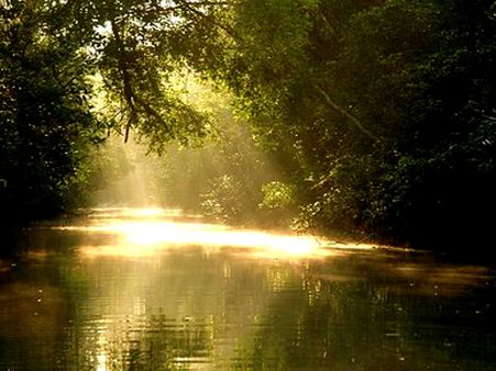 Sunderban Cruise