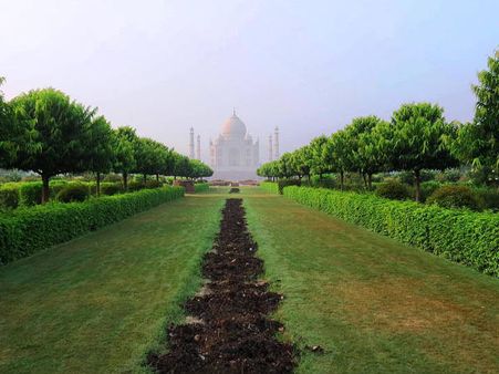In the Moonlit Garden