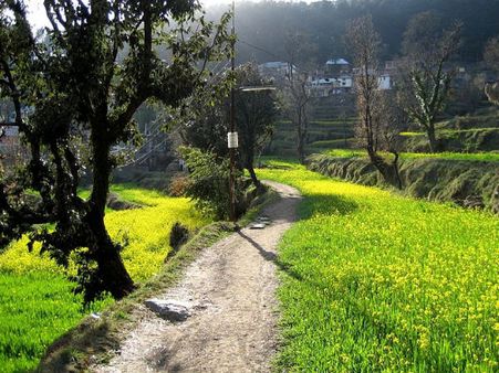 Dharamshala, Himachal Pradesh
