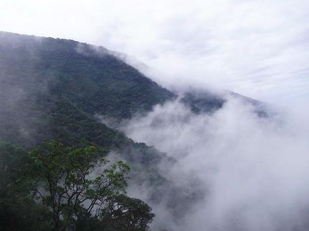 Explore Vythiri this Summer