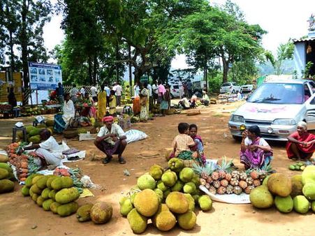 Food and Where to Stay 