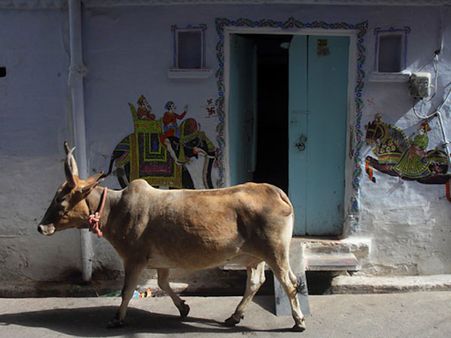 Art In Udaipur Art In Udaipur