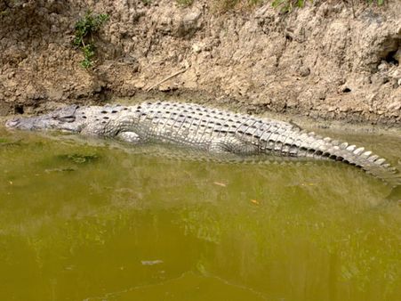 Sundarbans National Park