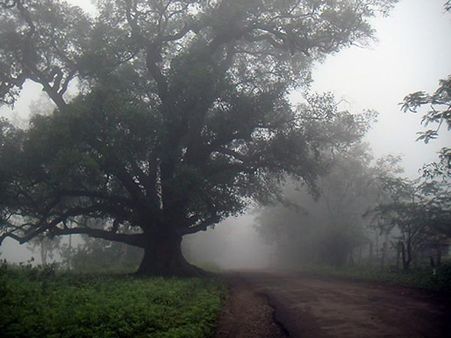 How to Reach Bhojpur