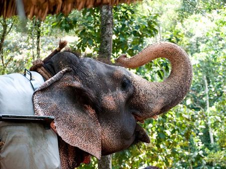 How to Reach Thekkady