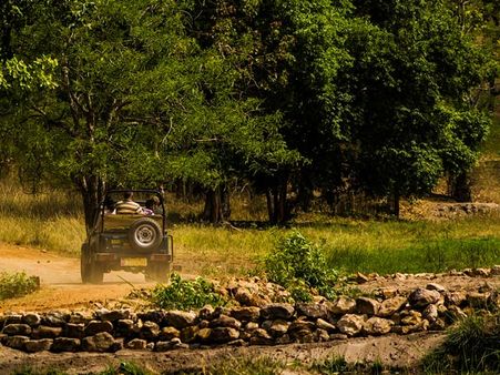 Bandhavgarh, Madhya Pradesh